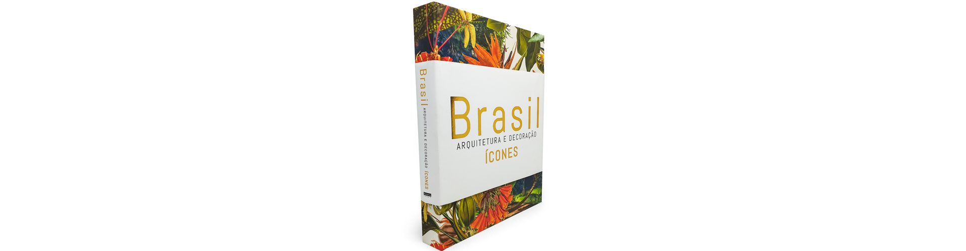livro brasil arquitetura e decoração - Piu Decor
