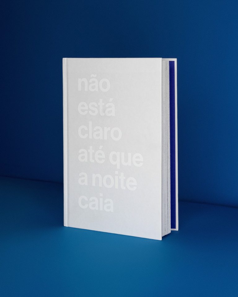 Não Está Claro Até Que a Noite Caia – Juliana Stein