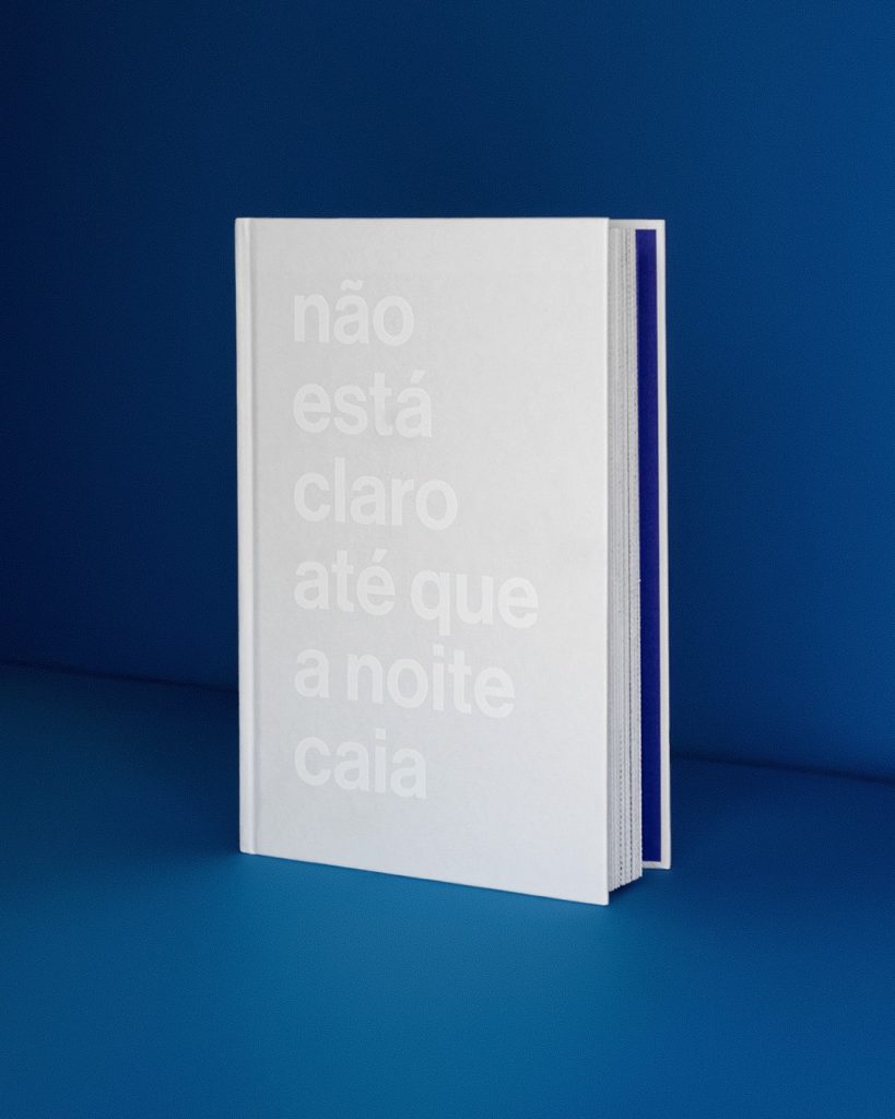 Não Está Claro Até Que a Noite Caia - Juliana Stein