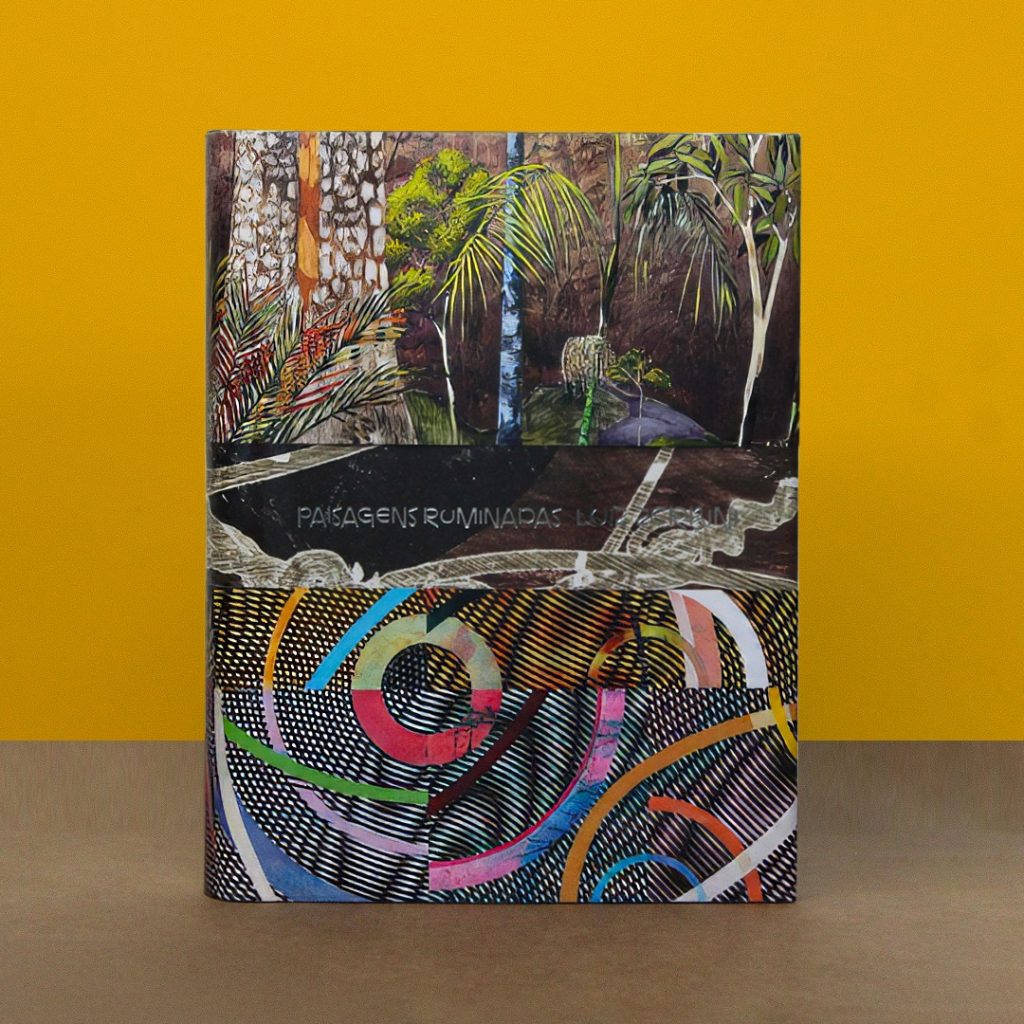 Luiz Zerbini - Paisagens Ruminadas