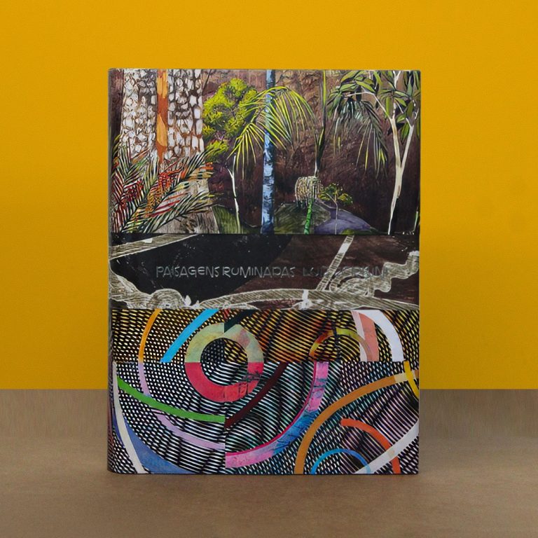 Luiz Zerbini – Paisagens Ruminadas