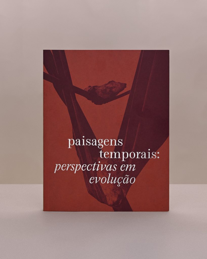 Paisagens Temporais: Perspectivas em Evolução