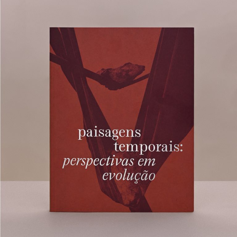 Paisagens Temporais: Perspectivas em Evolução
