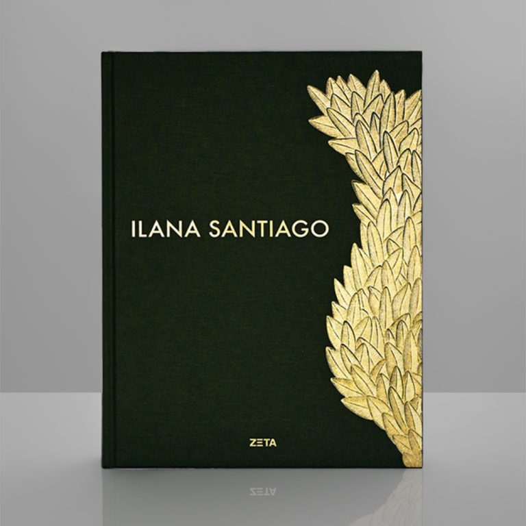 Ilana Santiago – Arquitetura
