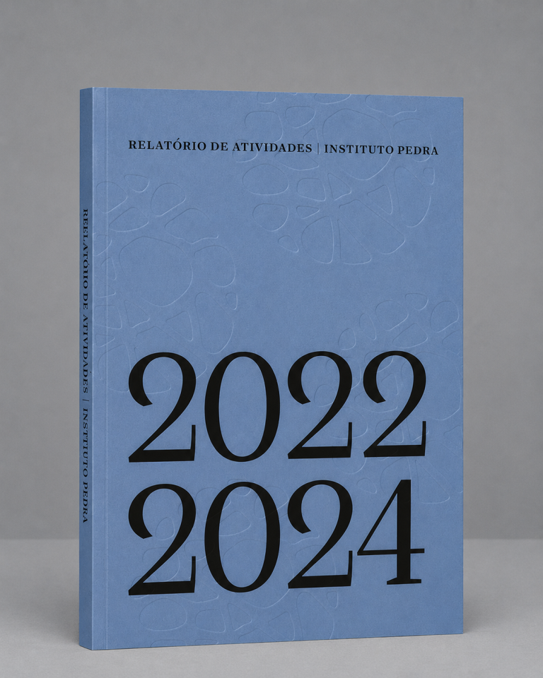 Relatório de atividades – Instituto Pedra