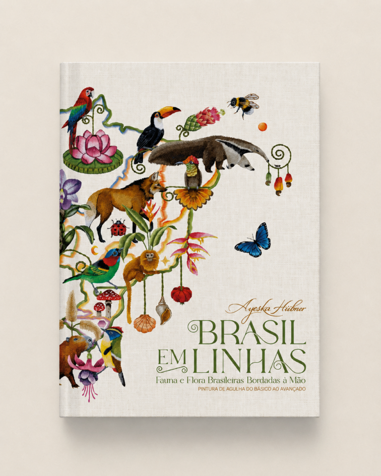 Brasil em Linhas – Ayeska Hübner
